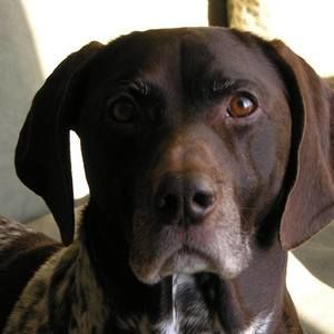 Meet your Posher, Leslie